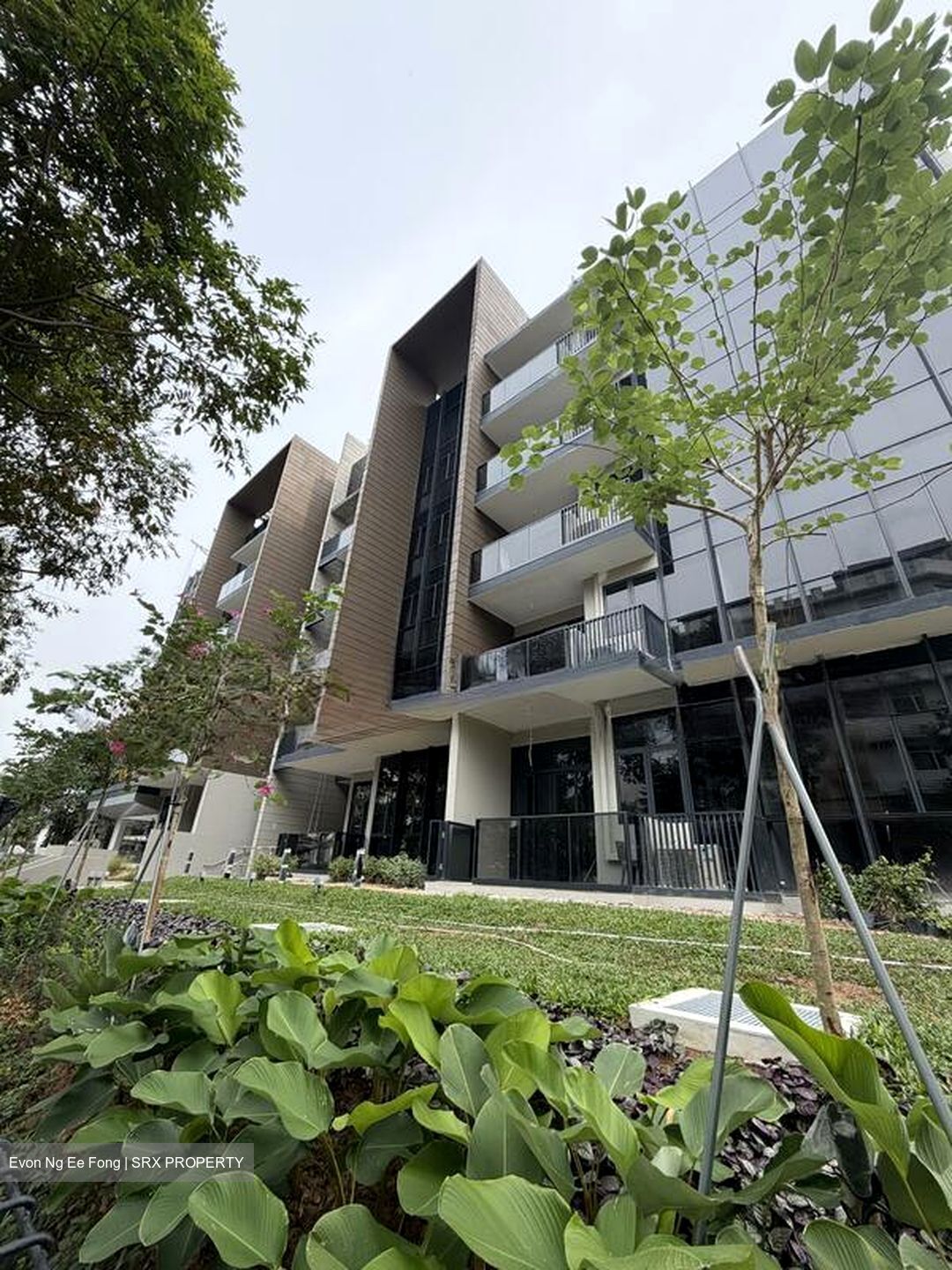 ARDOR RESIDENCE (D15), Apartment #590768391